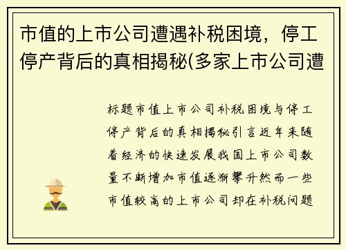 市值的上市公司遭遇补税困境，停工停产背后的真相揭秘(多家上市公司遭遇停限产)