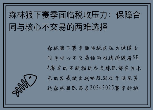 森林狼下赛季面临税收压力：保障合同与核心不交易的两难选择