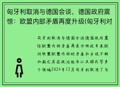 匈牙利取消与德国会谈，德国政府震惊：欧盟内部矛盾再度升级(匈牙利对德国宣战)