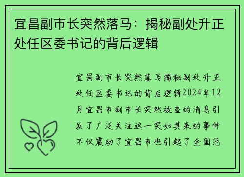 宜昌副市长突然落马：揭秘副处升正处任区委书记的背后逻辑