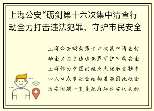 上海公安“砺剑第十六次集中清查行动全力打击违法犯罪，守护市民安全